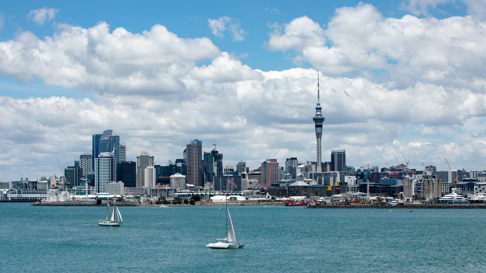 Auckland skyline and Sky Tower seen from the harbour with sailboats