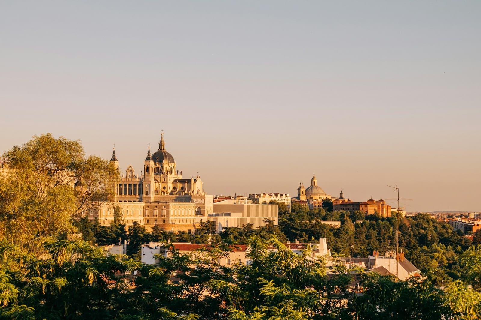 Almudena Cathedral in Madrid at sunset, rising above green treetops